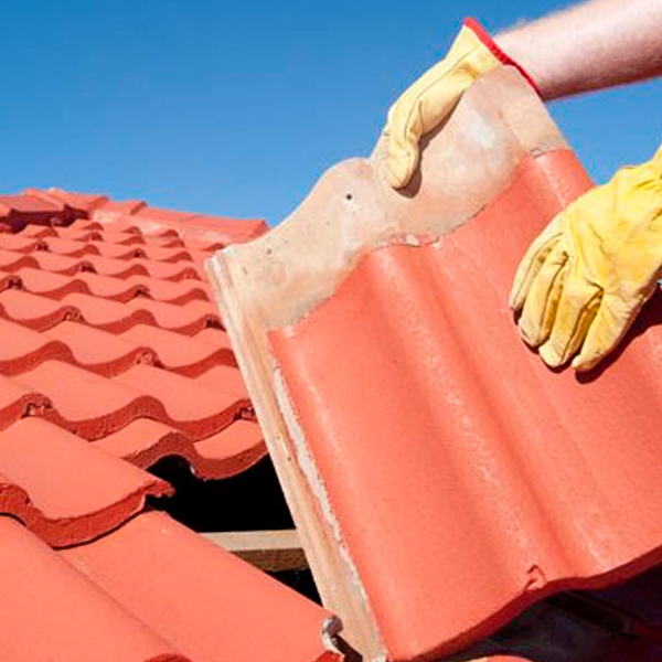 Reparo e Troca de Telhas